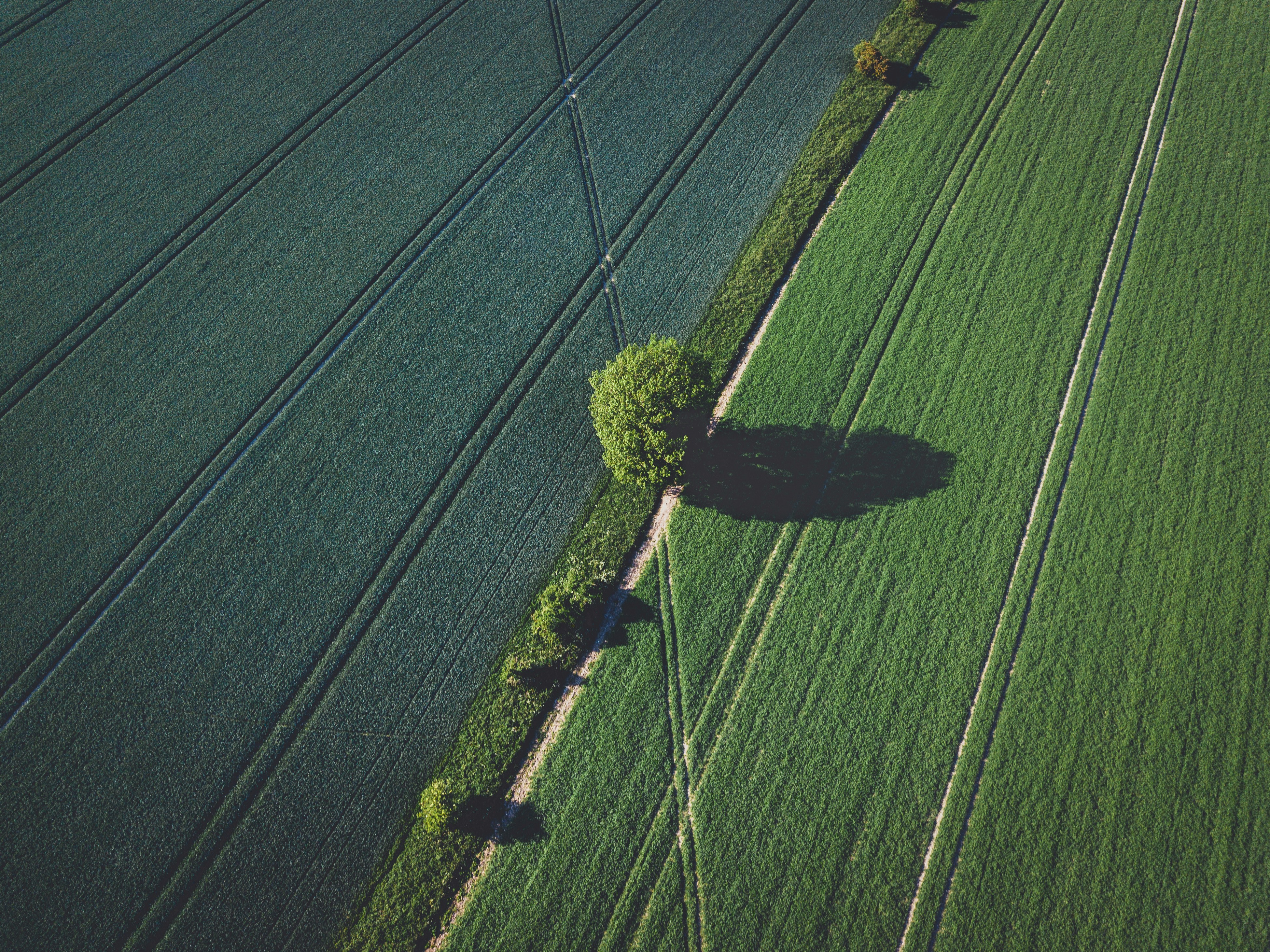 Agritech illustrasjonsbilde