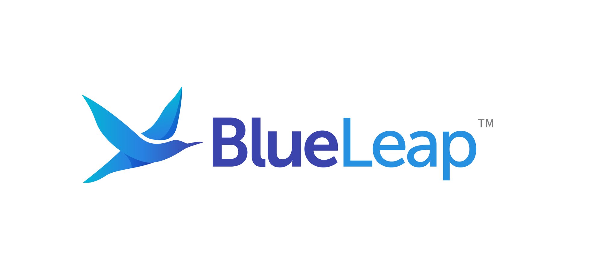 BlueLeap AS