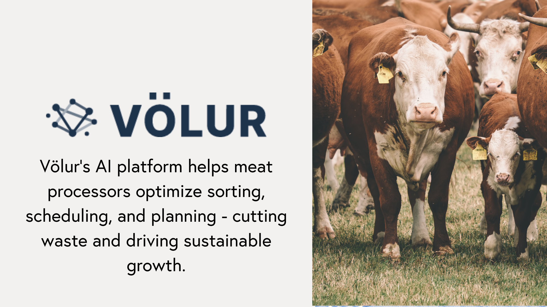 NFD - Selskapspresentasjon mai 2026-1