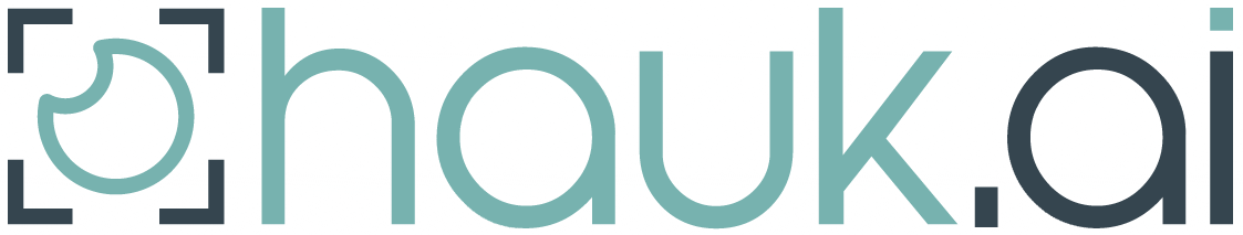 Vistek AS (new name Hauk.ai)
