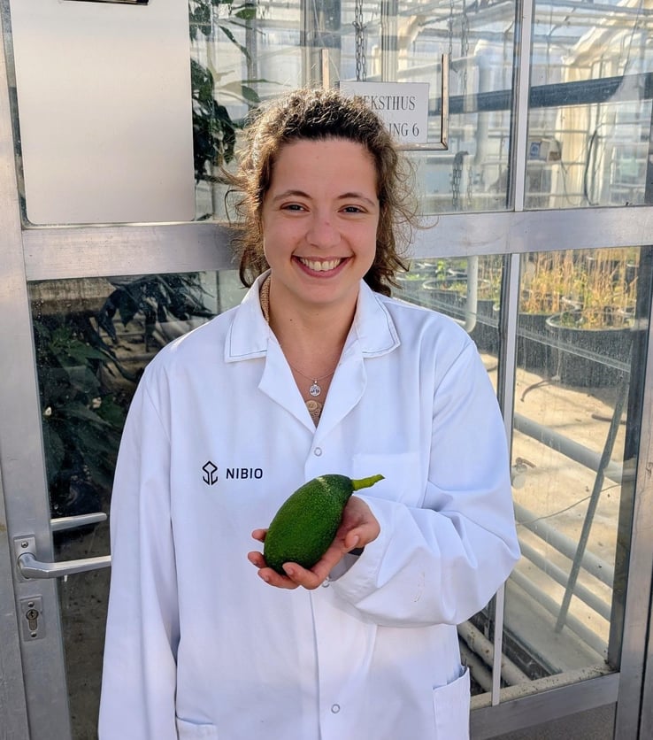 Carolina med avokado