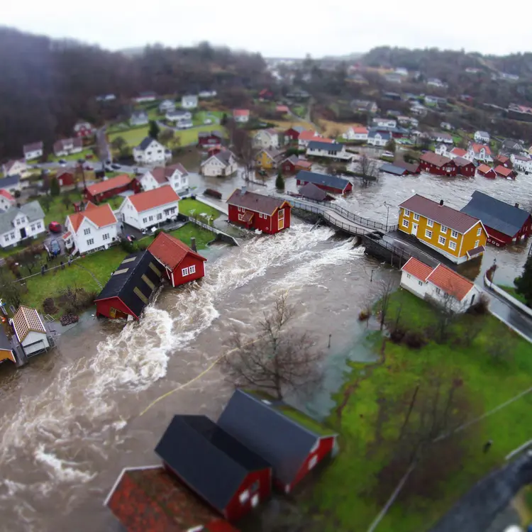 Intoto, bilde av Synne, flom